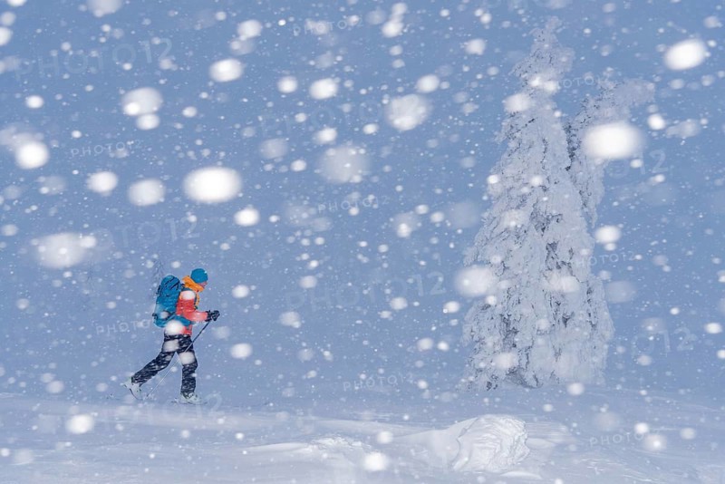 Skiers in the snow, Dundret Nature Reserve, Gällivare, Norrbotten, Lapland, Sweden, Sweden, Scandinavia, Europe