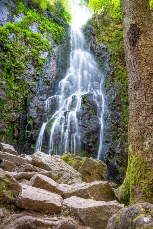 Burgbach waterfall in the sunlight, Black Forest, Bad Ripoldsau, Germany, Europe