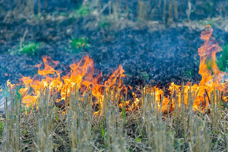 During controlled field fires, the firefighters were able to test various extinguishing methods, from the swatter to the jet pipe