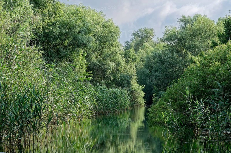 Waterway on a branch of the Danube at Lacul Isac in the UNESCO Danube Delta Biosphere Reserve. Munghiol, Tulcea, Romania, Southeast Europe, Europe