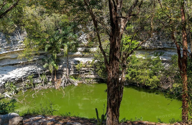 Sacred Cenote, Chichen Itza, Mayan ruins, Yucatan, Mexico, Central America