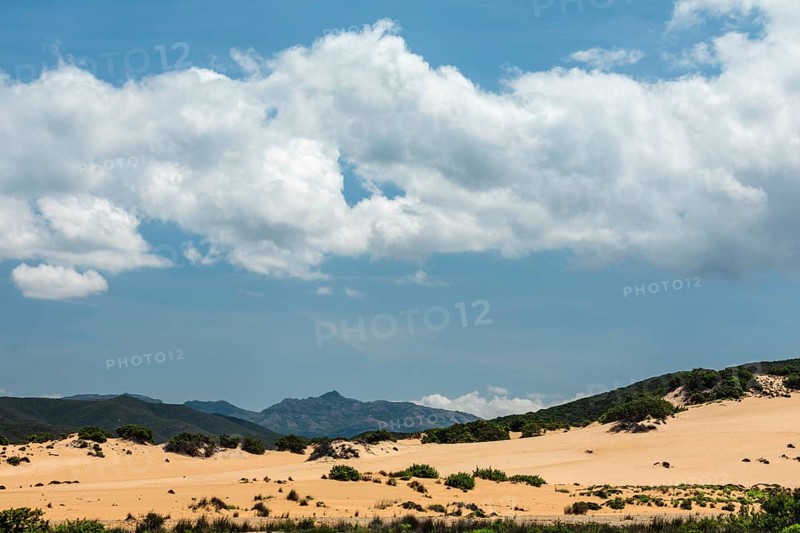 Dunes at Scivu Beach, Arbus, Province of Sud Sardegna, Sardinia, Italy, Arbus, Sardinia, Italy, Europe