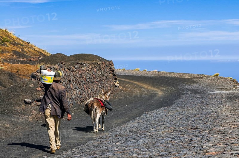 Natives with donkeys on paths around vulcano on Fogo. Cabo Verde. Africa