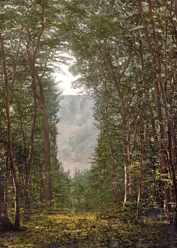 Magic Cave, Schweizerhaus, on the edge of the Niederwald Landscape Park above the town of Rüdesheim am Rhein, Hesse, Historic, digitally enhanced reproduction of a photochrome print from 1898