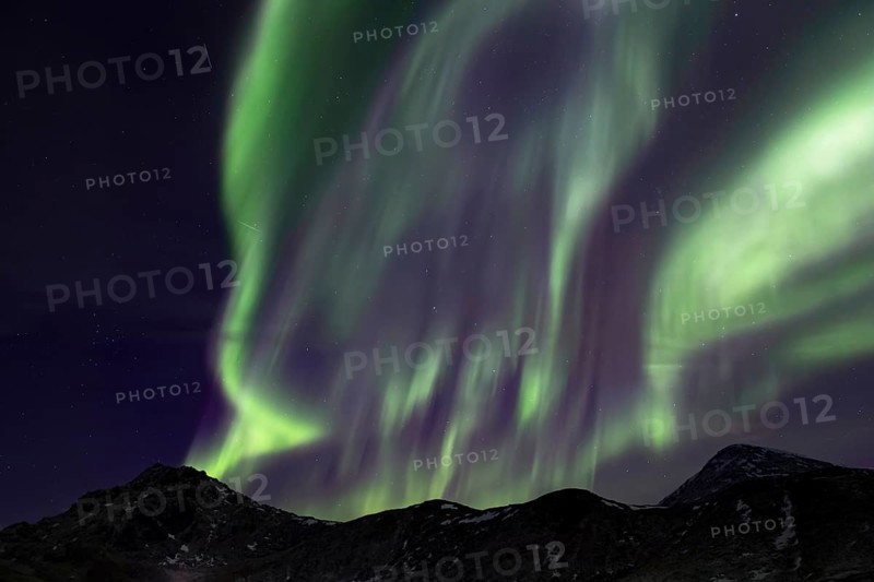 Northern Lights (Aurora borealis) in green and pink over the beach of Haukland, Lofoten, Norway, Europe