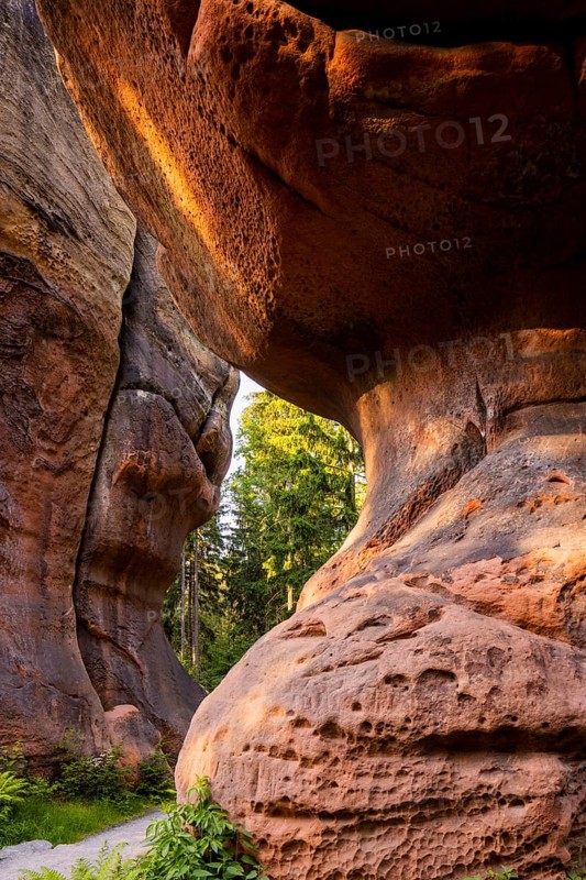 The Kelchstein is a mushroom rock in the Zittau Mountains near Oybin in Saxony and is part of the Kelchsteine natural monument. The Kelchstein is made of chalk sandstone, which is quite poor in binders. Its unusual mushroom shape is due to the effect of wind abrasion and erosion on the various hard sandstone layers