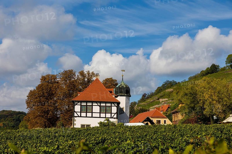 In electoral and royal Saxon times, the estate, as a country seat of the Saxon line of the Wettin dynasty, was the centre of Saxon court vineyard ownership for almost 500 years. Today it has been developed into the Saxon Wine Museum Hoflössnitz with a sales outlet and the serving of its own wine