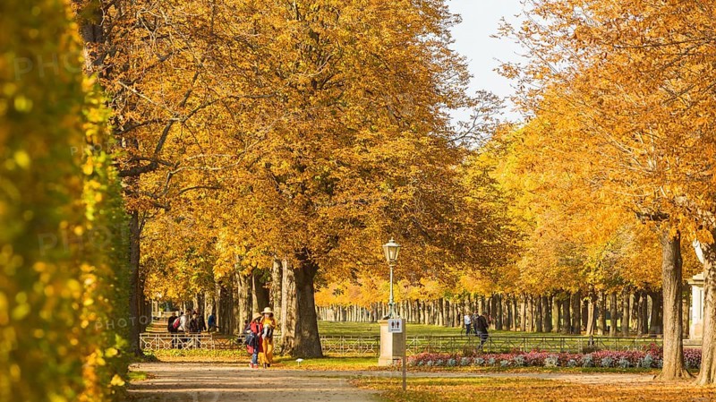 The former summer residence of the Saxon royal family is the largest chinoise palace complex in Europe. The palace park with more than 2, 000 shrubs and over 600 potted plants invites visitors to take eventful walks at any time of year