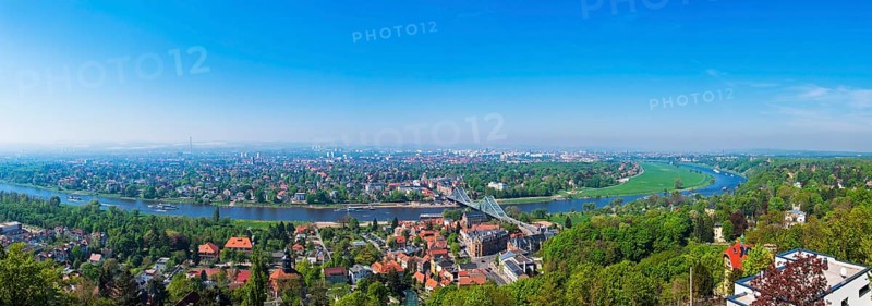 Steamboat parade on the Elbe