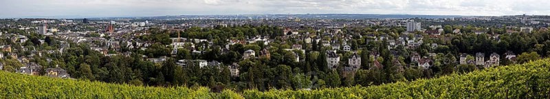 Panoramic view of the vineyard, the villas of the Nerotal and the state capital Wiesbaden, Neroberg, Hesse, Germany, Europe