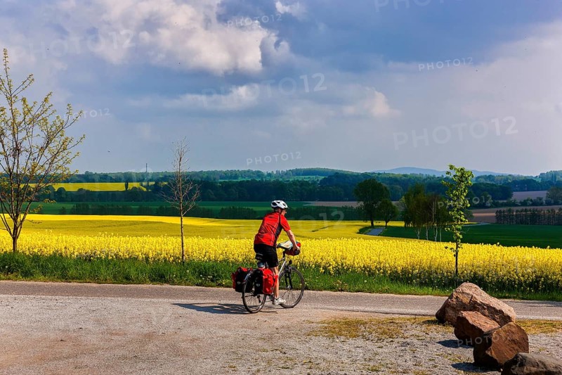 Cyclists in Lusatia at the Millennium Monument
