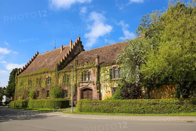 Dotternhausen Castle, Cotta's Castle, Dotternhausen Castle, historic building, aristocratic residence, architecture, overgrown façade, green façade, climbing plants, windows, roof, tiles, wooden door, front door, Dotternhausen, Zollernalbkreis, Baden-Württemberg, Germany, Europe