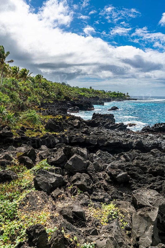 Volcanic south coast of Taveuni, Fiji, South Pacific, Oceania