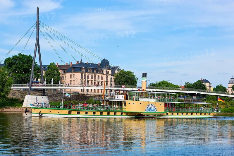 Steamboat parade on the Elbe
