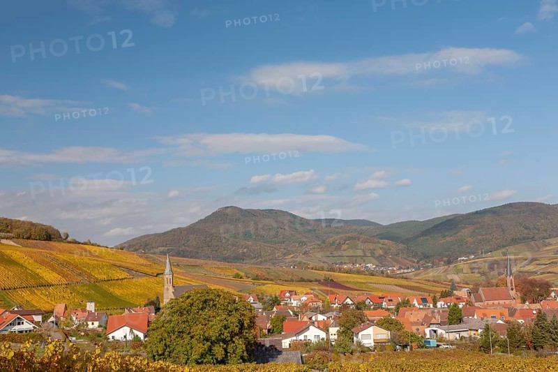 Village view Birkweiler, German or Southern Wine Route, Southern Palatinate, Palatinate, Rhineland-Palatinate, Germany, Europe
