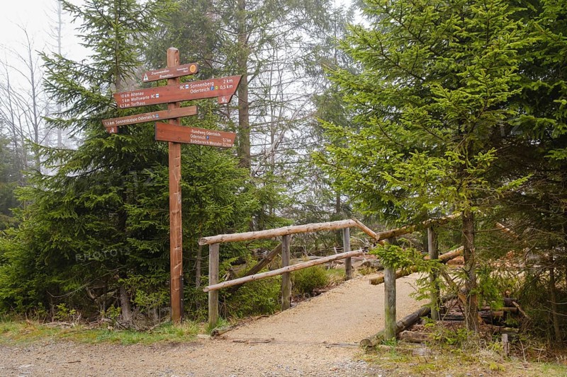 Signpost at the Oderteich, Nebel, Harz National Park, Lower Saxony, Germany, Europe