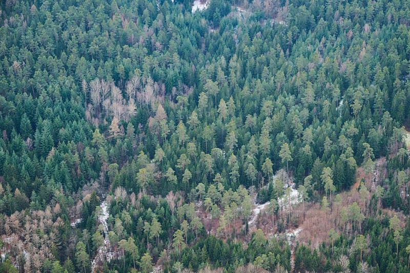 Aerial view of the area around Neumarkt in der Oberpfalz, Bavaria, Germany, Europe