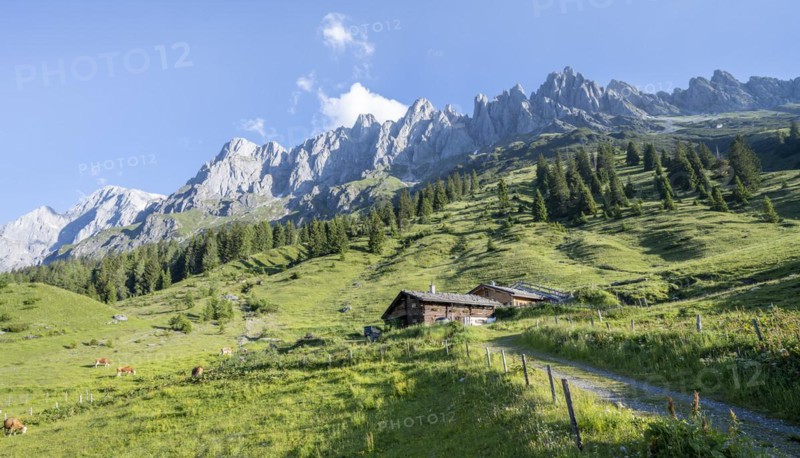 Wooden house, alpine pastures at Arthurhaus, Berchtesgaden Alps with Hochkönig, Salzburger Land, Austria, Europe