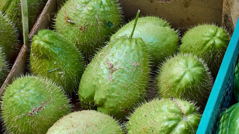 Stink (Durio zibethinus) fruit, close, detail, markets, open air, Palermo, capital, Sicily, Italy, Europe