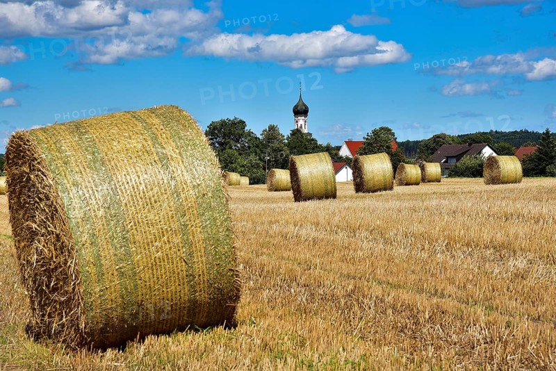 Straw bales on a harvested grain field, in the background the village church with onion tower, Bavaria, Germany, Europe