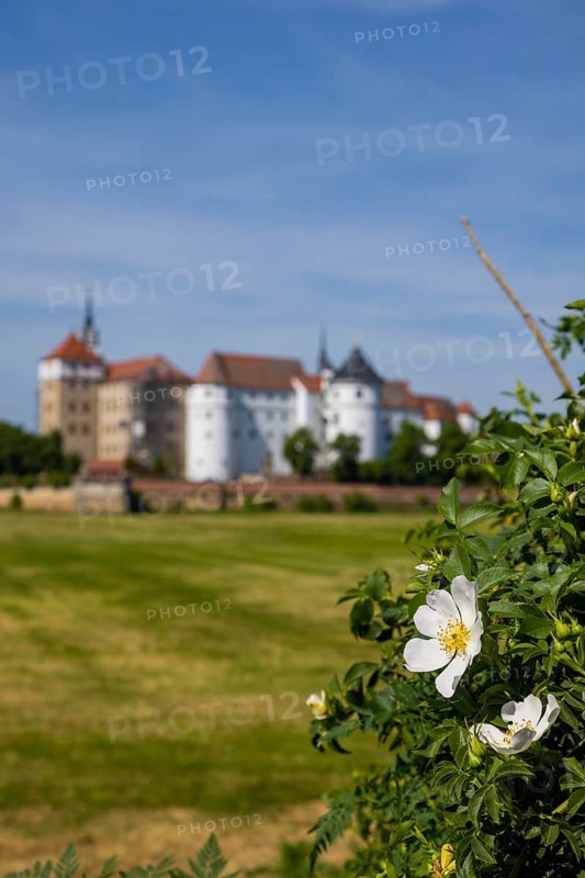 Torgau Hartenfels Castle