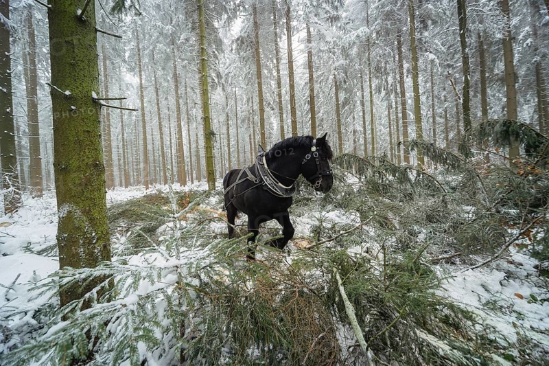 Winter in the Ore Mountains