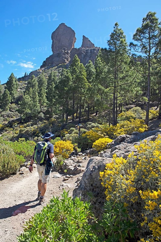 Hikers in the Parque Rural del Nublo, Roque Nublo in the back, Las Palmas province, Gran Canaria, Canary Islands, Spain, Europe