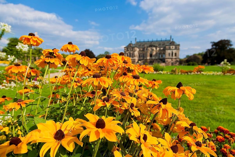 Palace in the Great Garden