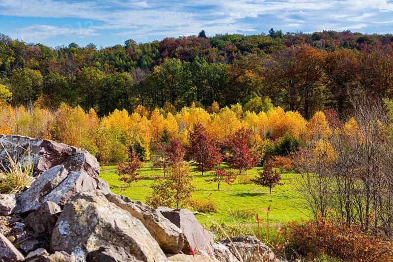 The Forest Botanical Garden Tharandt is an institution of the Technical University of Dresden and at the same time the Saxon State Arboretum. It houses single stem woody plants and has been greatly expanded since 1997 to include North American forest formations
