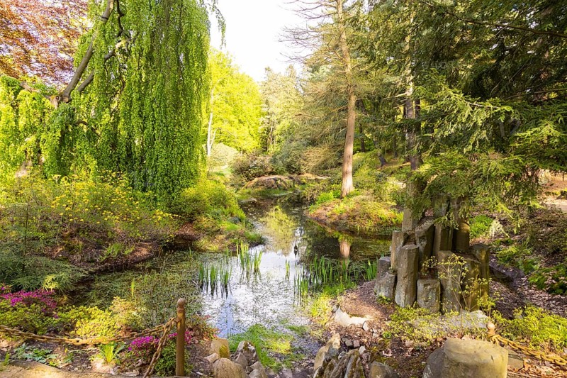 The Azalea and Rhododendron Park Kromlau is a landscape park of approx. 200 ha in the district of Kromlau, in the municipality of Gablenz in the district of Görlitz