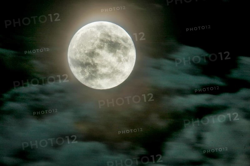 Full moon over Dresden. Fast-moving clouds are illuminated in the night sky by the still low moon