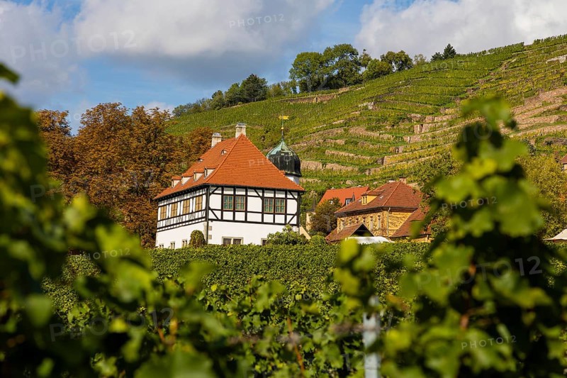 In electoral and royal Saxon times, the estate, as a country seat of the Saxon line of the Wettin dynasty, was the centre of Saxon court vineyard ownership for almost 500 years. Today it has been developed into the Saxon Wine Museum Hoflössnitz with a sales outlet and the serving of its own wine