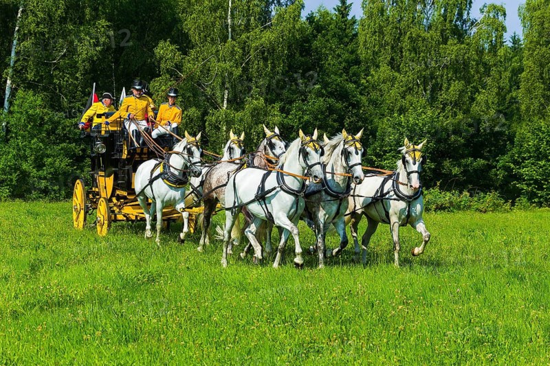 8th stagecoach meeting in Grillenburg