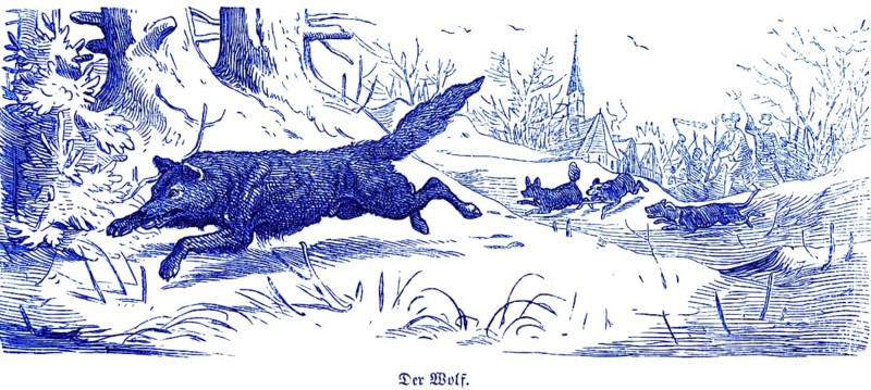 Gray wolf (Canis lupus), Hubertus hunting and hunting scenes, wild animals, landscape, village, church, hounds, rush, flee, pursue, historical illustration around 1860