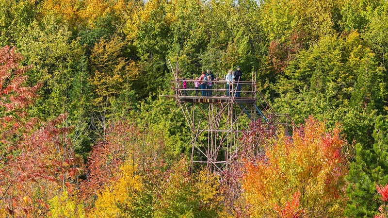 The Forest Botanical Garden Tharandt is an institution of the Technical University of Dresden and at the same time the Saxon State Arboretum. It houses single stem woody plants and has been greatly expanded since 1997 to include North American forest formations