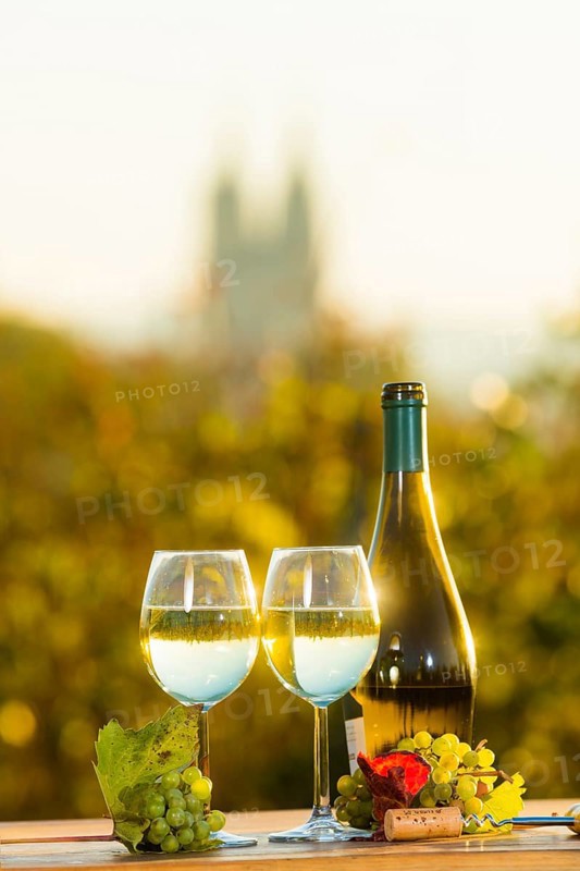 The wine-growing region of Saxony is one of the smallest and the most easterly wine-growing region in Germany, defined in Â§ 3 para. 1 no. 12 of the Wine Act. It is located almost exclusively in the Dresden conurbation in the Elbe valley. Well-known wine towns are Meissen, which gives its name to the most important area, and Radebeul