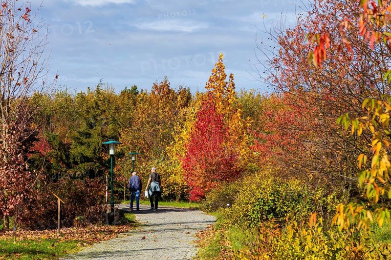 The Forest Botanical Garden Tharandt is an institution of the Technical University of Dresden and at the same time the Saxon State Arboretum. It houses single stem woody plants and has been greatly expanded since 1997 to include North American forest formations