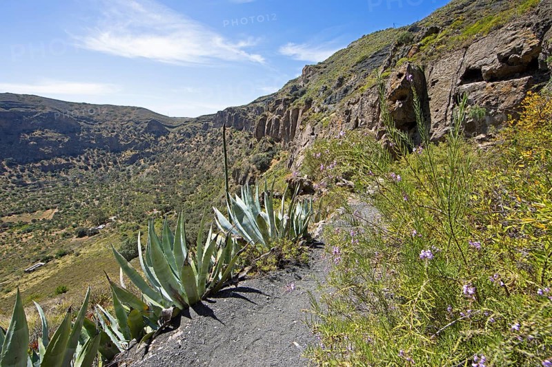 Camino Real or King's Path in the Caldera de Bandama in the Bandama Natural Park or Monumento Natural de Bandama, Las Palmas Province, Gran Canaria, Canary Islands, Spain, Europe
