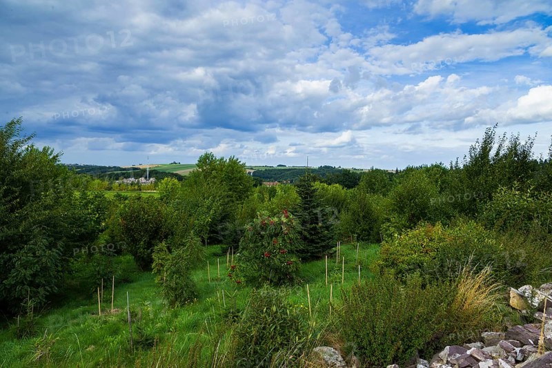 The Forest Botanical Garden Tharandt is an institution of the Technical University of Dresden and at the same time the Saxon State Arboretum. It houses single stem woody plants and has been greatly expanded since 1997 to include North American forest formations
