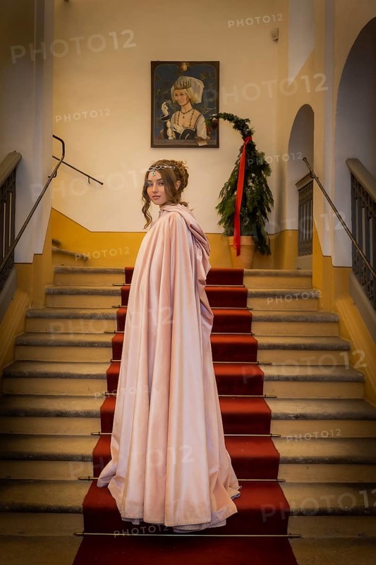 Winter exhibition, Three Hazelnuts for Cinderella