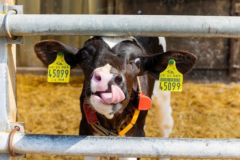 Winner of the Saxon State Competition for Animal-Friendly and Environmentally Compatible Husbandry