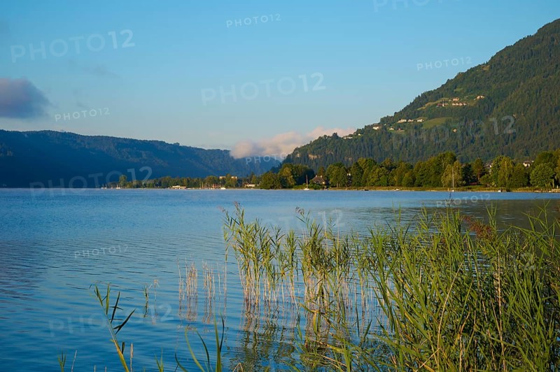 Lake shore, reeds, sunrise, summer, Steindorf am Lake Ossiach, Lake Ossiach, Carinthia, Austria, Europe