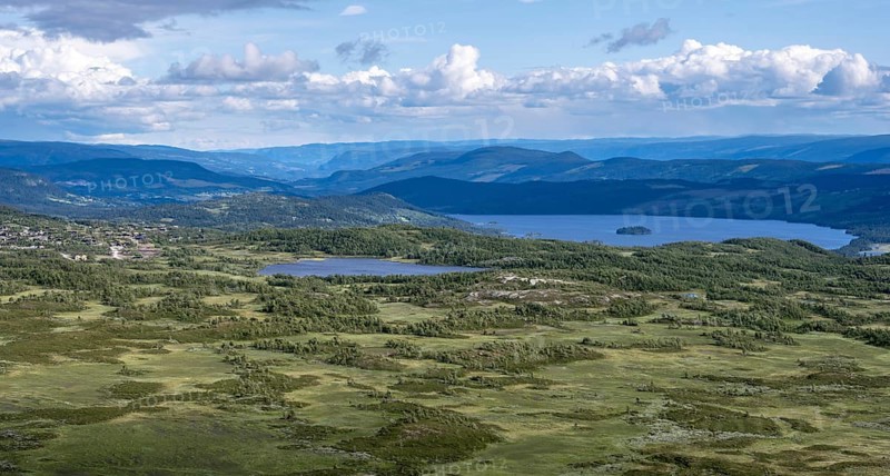 Tundra landscape with birch forests and lakes, Fjell, Oystre Slidre, Jotunheimen National Park, Norway, Europe