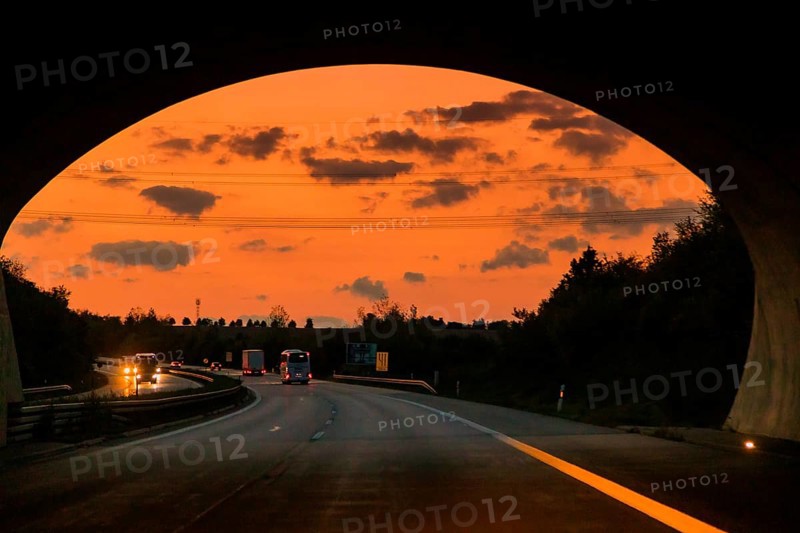 Wildlife bridge on the A17 in the evening. A green bridge or wildlife bridge is a bridge that allows wildlife to safely cross busy traffic routes such as motorways, trunk roads and railway lines. Green bridges connect wildlife habitats that are dissected by traffic routes and are thus intended to mitigate the consequences of the increasing landscape fragmentation