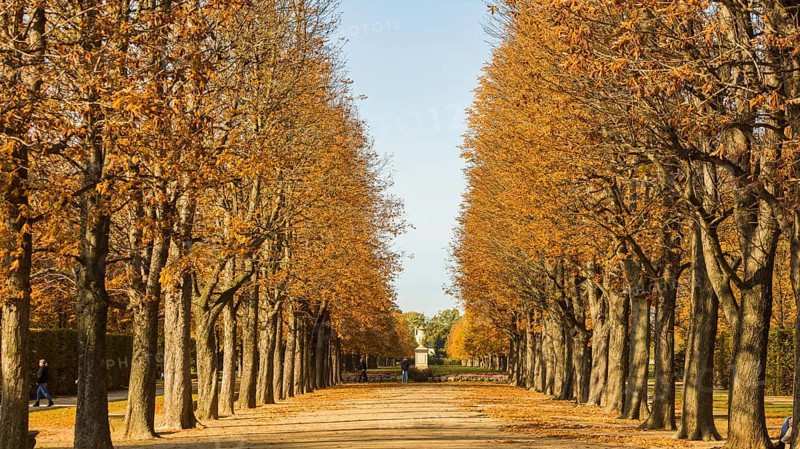 The former summer residence of the Saxon royal family is the largest chinoise palace complex in Europe. The palace park with more than 2, 000 shrubs and over 600 potted plants invites visitors to take eventful walks at any time of year