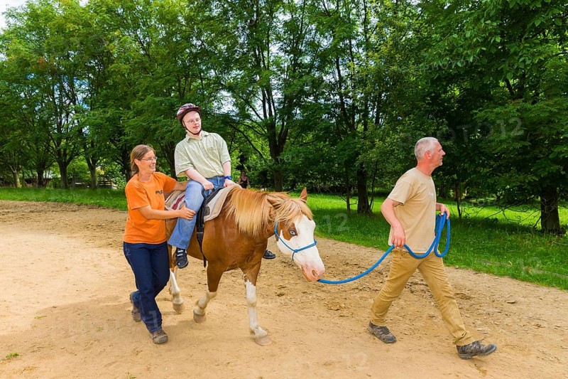Curative riding on the Andershof farm
