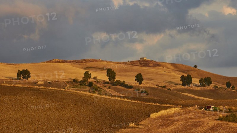 Evening light, Autumn hill landscape, brown fields, dramatic cloudy sky, Madonie National Park, Autumn, late summer, Sicily, Italy, Europe
