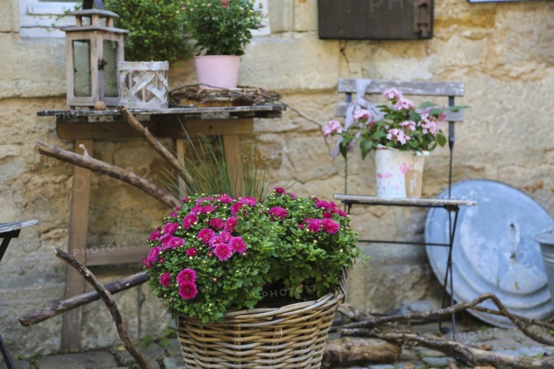 Gomaringen Castle, still life in front of the former bakehouse and washhouse, prison in the castle courtyard, Gustav Schwab Museum, chair, plants, Gomaringen, Baden-Württemberg, Germany, Europe