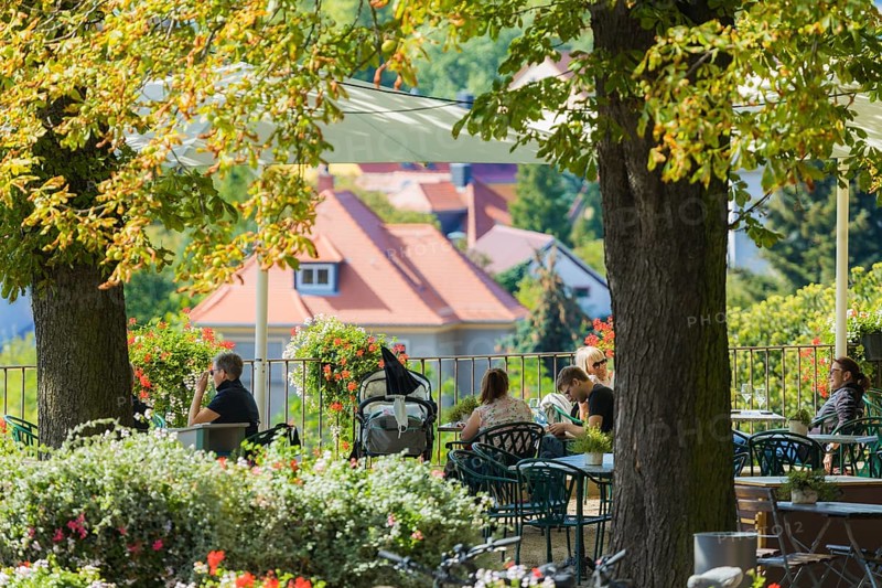 Hoflössnitz st a former Electoral Saxon, now municipal winery on the Saxon Wine Route In the 21st century, it has been converted into a museum and once again maintains a winery with a sales outlet and taproom