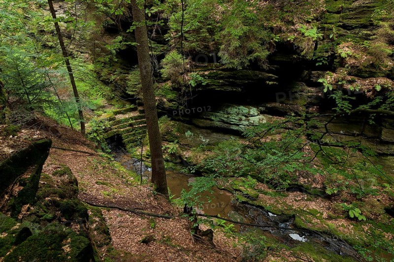 Amselgrund in Saxon Switzerland